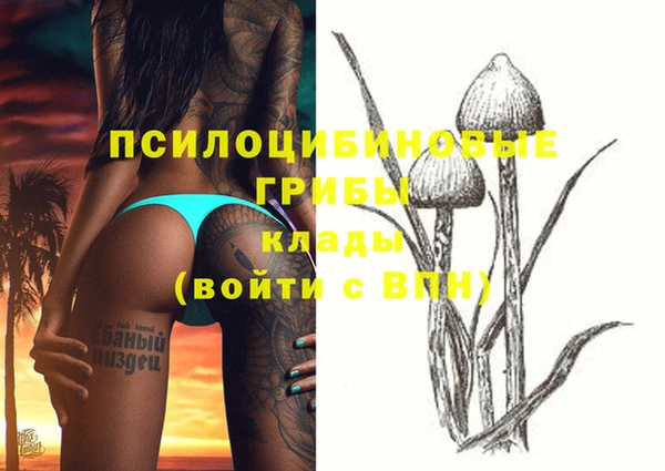 mdpv Верхний Тагил