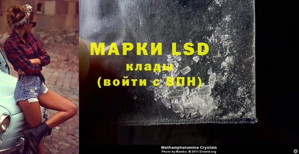 эйфоретик Верея