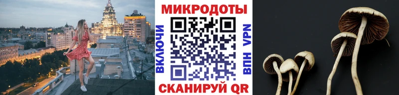 Псилоцибиновые грибы MAGIC MUSHROOMS цены Кировград