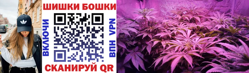 где найти   Кировград  Канабис сатива 